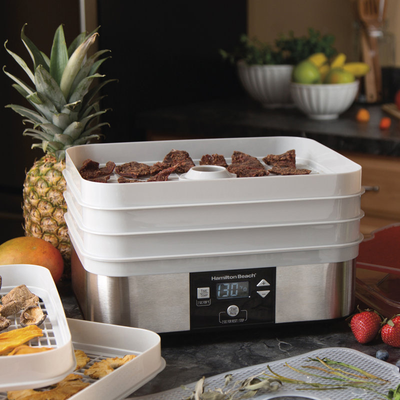 Hamilton Beach 5 Tray Food Dehydrator & Reviews Wayfair